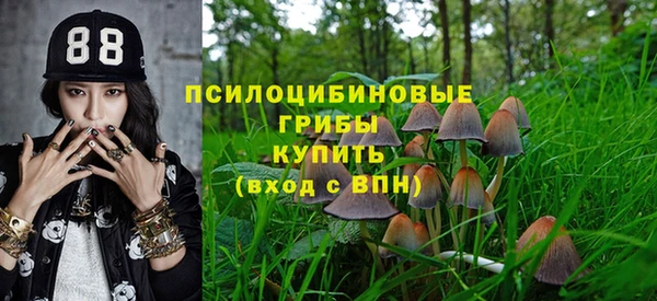 твердый Нефтегорск