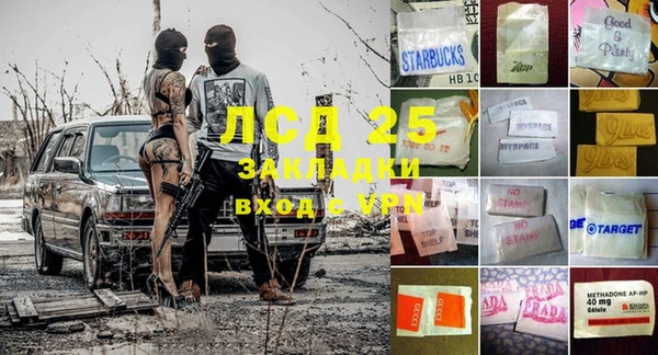 прущие крисы Аркадак