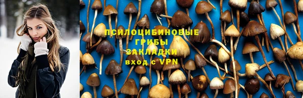 СК Алзамай