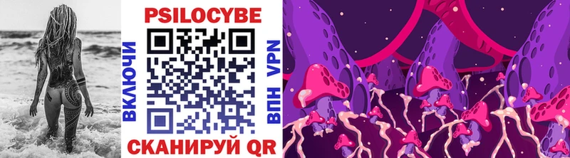 mega ONION  Спас-Деменск  Псилоцибиновые грибы Psilocybe 